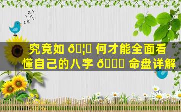 究竟如 🦁 何才能全面看懂自己的八字 🐞 命盘详解